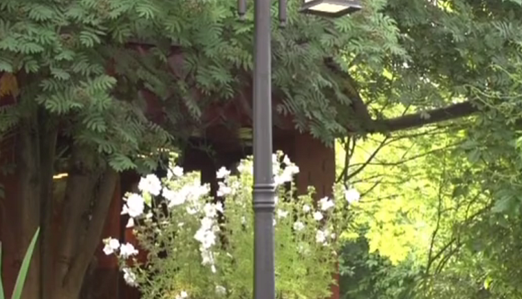 Дача в Красной Пахре Дача в Красной Пахре